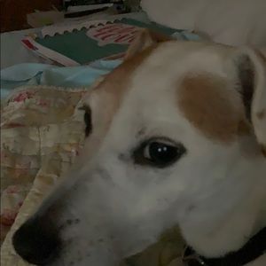 Meet your Posher, Ann